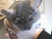 Charlie