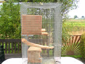Cage