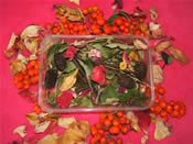 Seasonal Mix