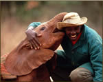 The David Sheldrick Wildlife Trust